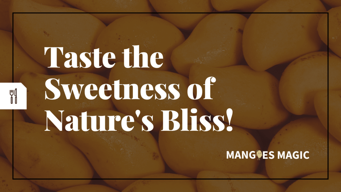 terms and conditions