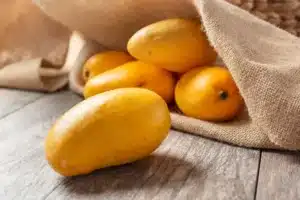 A view of several honey mangoes