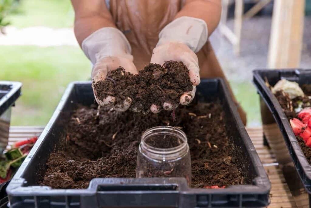 man holding soil in his hands