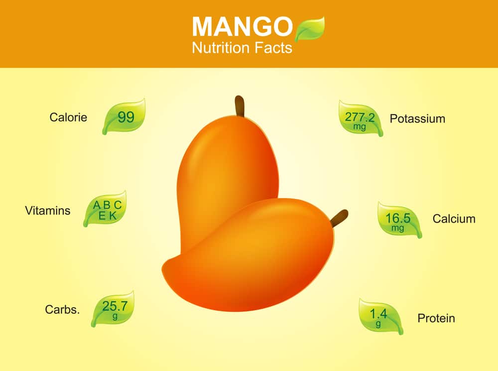 Mango Nutrition Facts Mango Fruit With Information Mango Vector