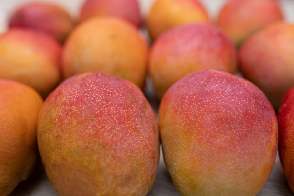 A Lot Of Kent Species Of Mango