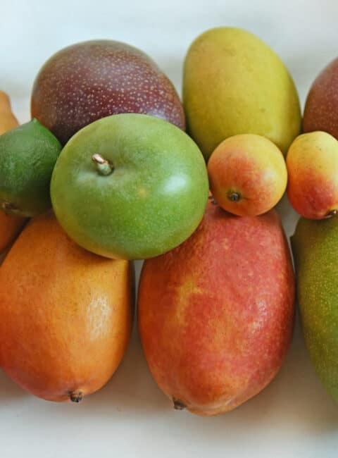 types of mango indian
