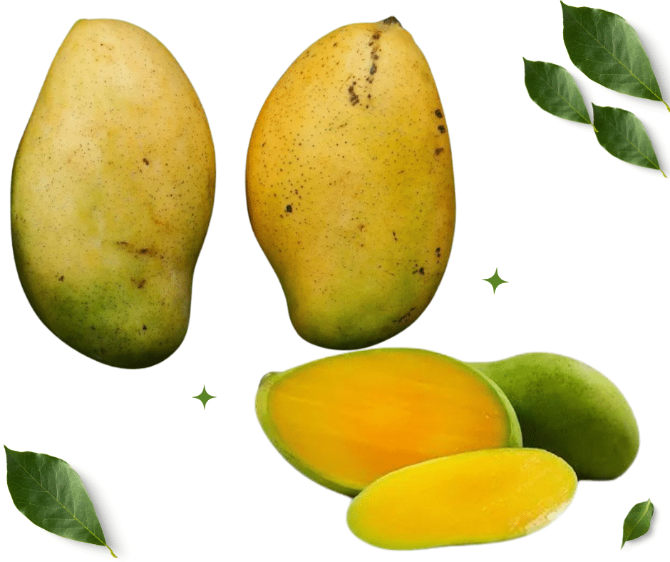 Francis Mango