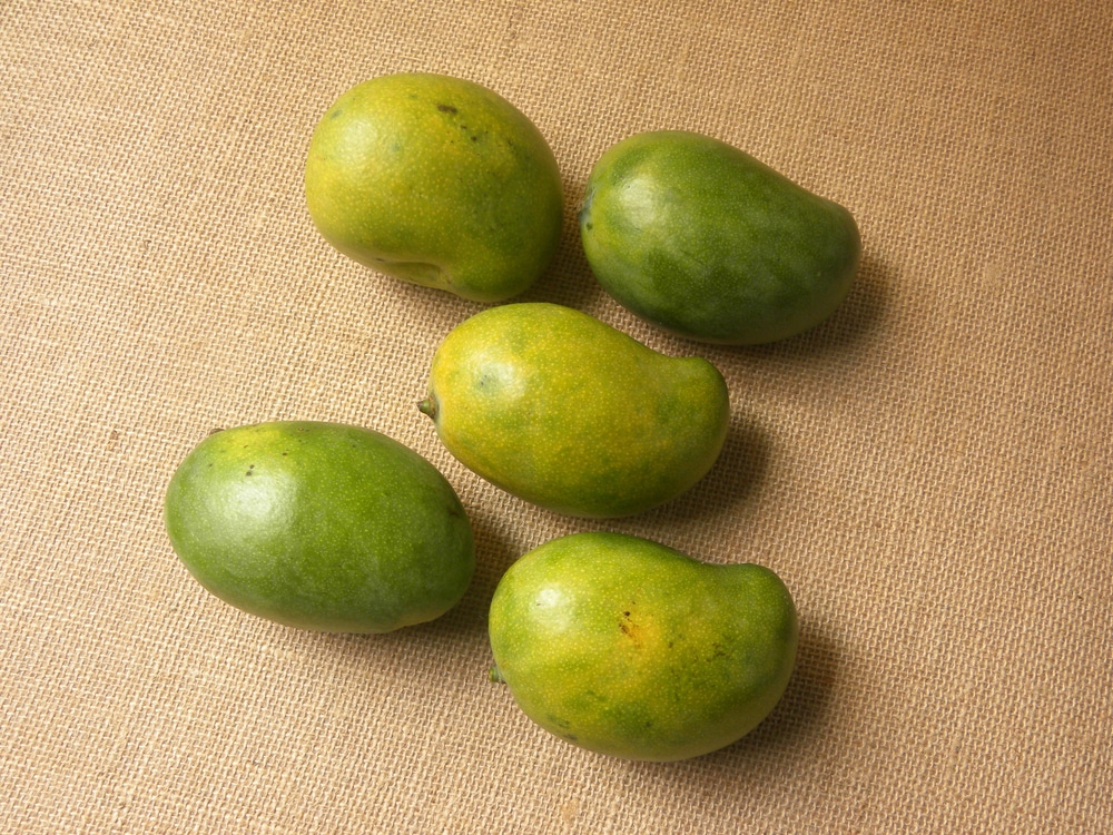 Green color whole ripe Neelam mangoes