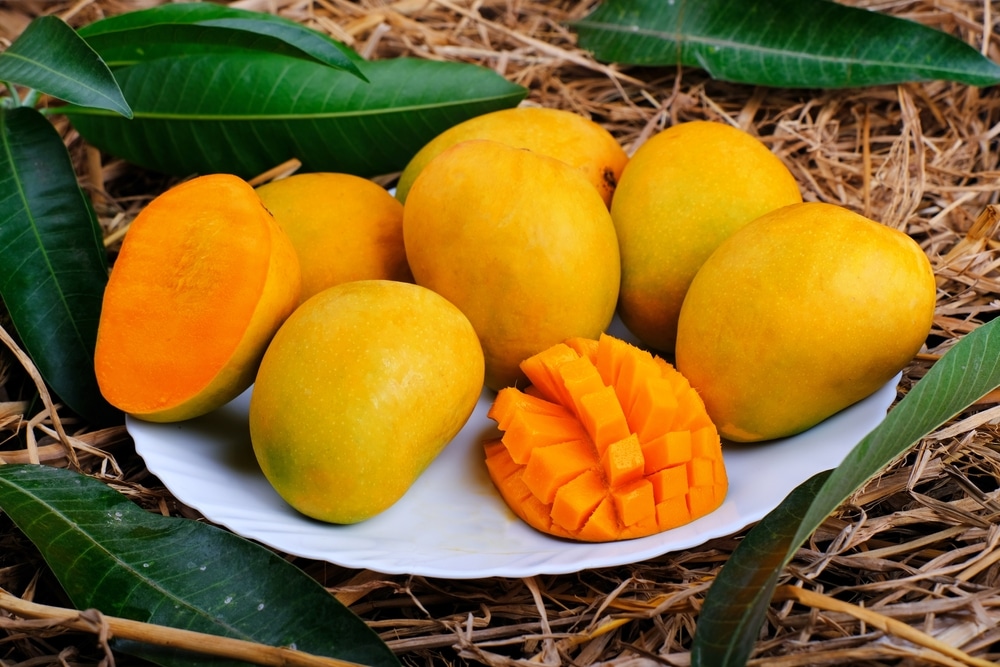 Mango Tropical Fruit With Green Leaf Ripe Mango In Grass