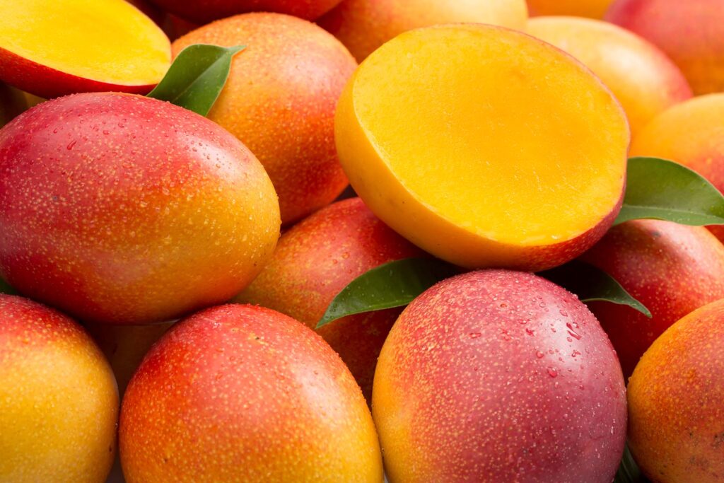 A view of fleshy ripe orange mangoes