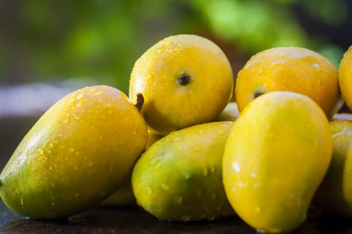 Juicy Benefits of Mango You Didn’t Know You Needed