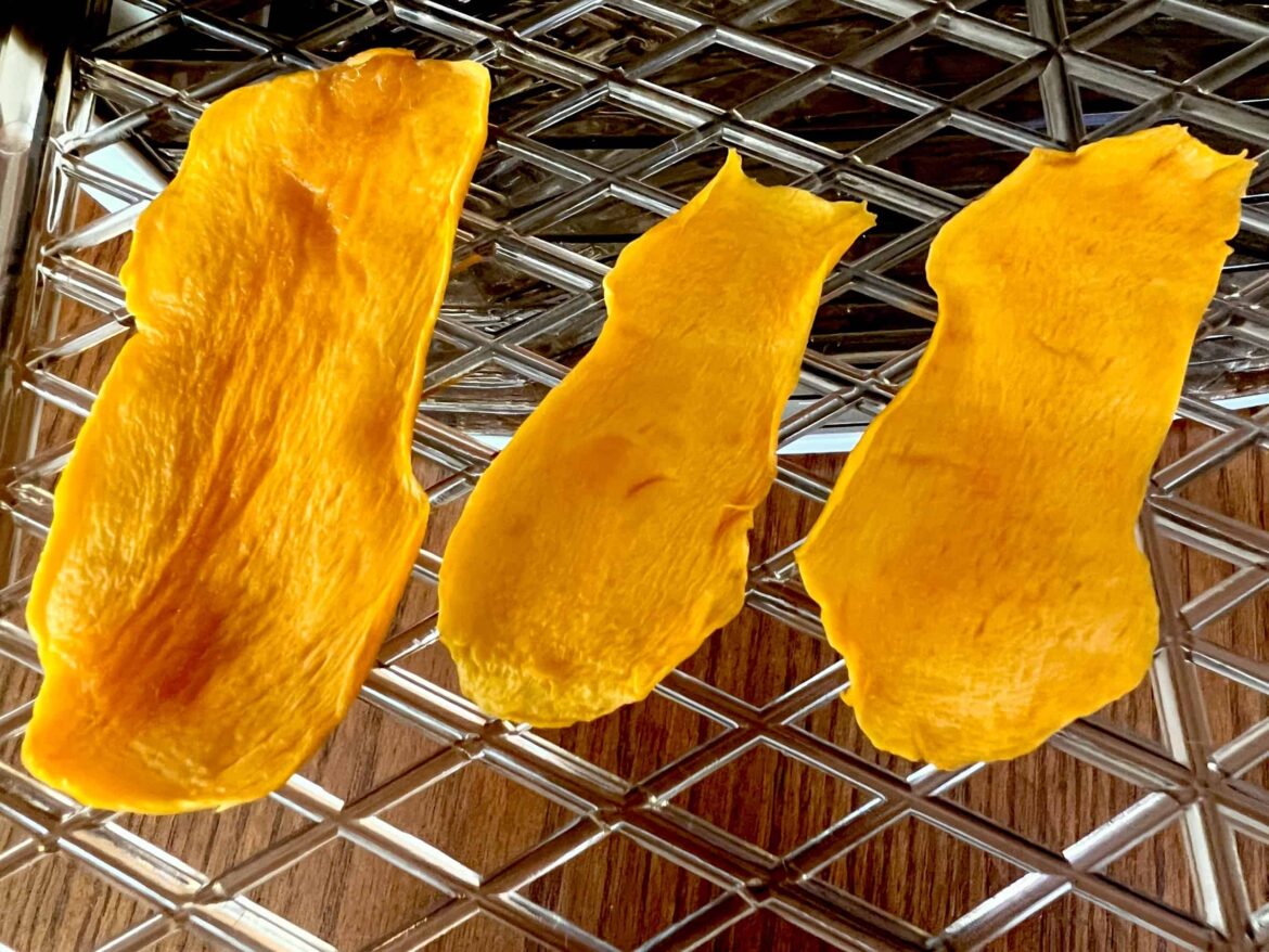 A view of dried mangoes