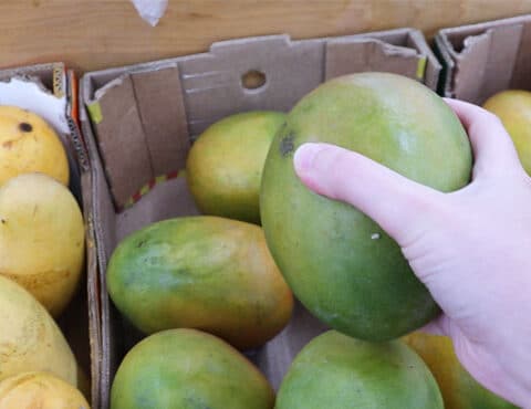 How to Tell If a Mango Is Ripe — Stop Guessing, Know for Sure
